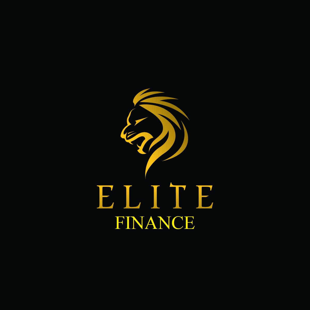 Elite Finance Inc