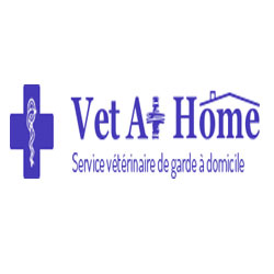 Vet At Home
