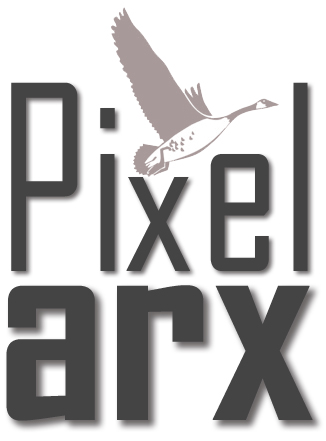 Studio Pixelarx