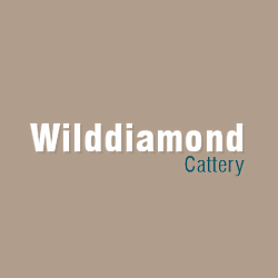 Wilddiamond Bengals