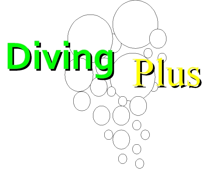 Diving Plus