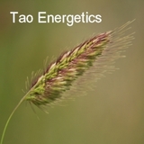 Tao Energetics