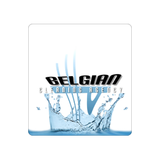 Belgian Cleaning Agency